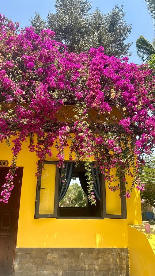 Bao Dien Guesthouse Bảo Lộc Exterior foto